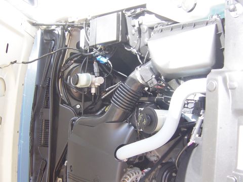 2000 Ford Crown Victoria - Passenger-side engine bay view showing the black plastic air cleaner box, ribbed rubber intake tube feeding into the throttle body, and a w…
