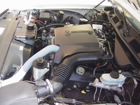 2000 Ford Crown Victoria - Close-up view of a car's engine bay, showing the engine cover, hoses, and fluid reservoirs.