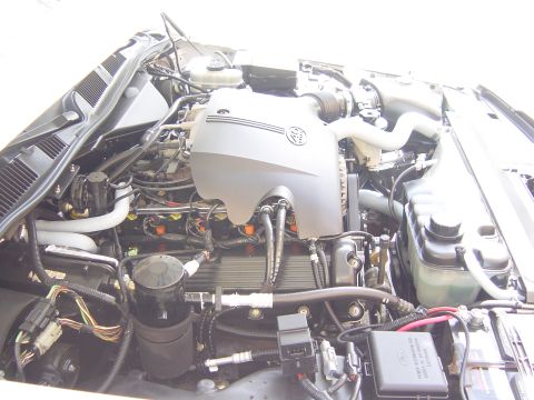 2000 Ford Crown Victoria - Engine bay of a 2000 Ford Crown Victoria, showing the V8 engine and associated parts.