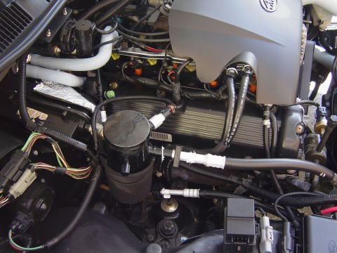 2000 Ford Crown Victoria - Close-up view of the engine compartment, showing intricate wiring and plumbing.