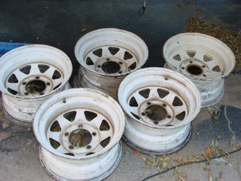 1979 Ford Bronco - A collection of five used white steel wheels are displayed outdoors on a concrete surface.