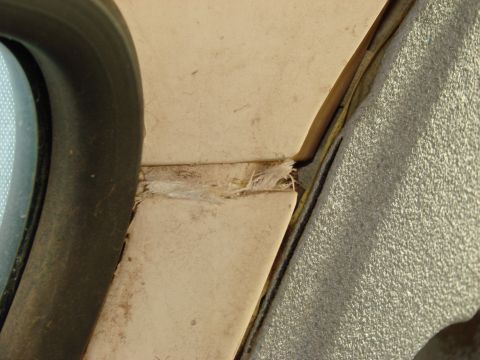 1979 Ford Bronco - The rubber seal around the window is torn, exposing frayed material underneath.