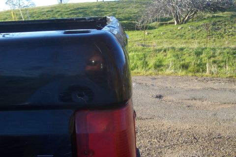 1994 Ford F-150 - Rear view of a black pickup truck, with a grassy hill in the background.