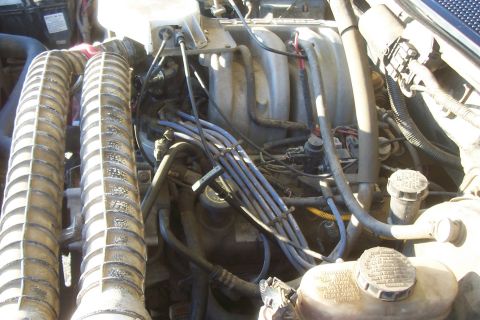 1994 Ford F-150 - The engine bay of a 1994 Ford F-150 is visible, with various hoses and wires connected to the engine.
