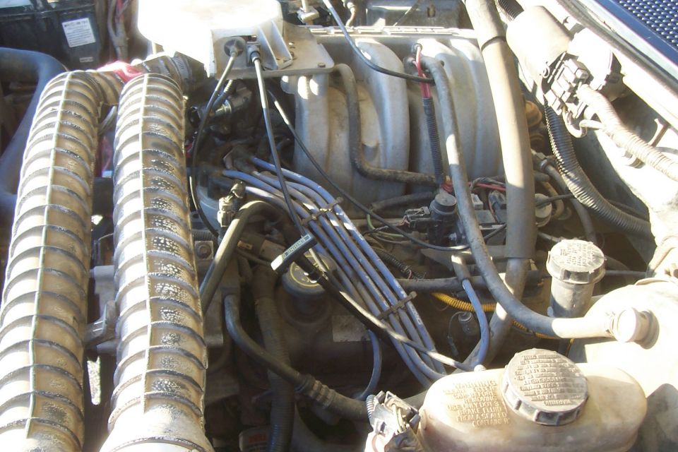 Engine bay of a 1994 Ford F-150, showing hoses, wires, and engine components