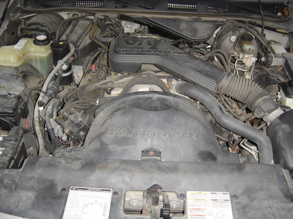 Engine bay with V8 Overhead Cam intake cover and Caution Fan shroud in a 1995 Mercury Grand Marquis