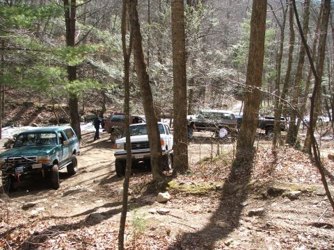 1996 Ford Bronco - Several off-road vehicles are parked in a wooded area on a sunny day.