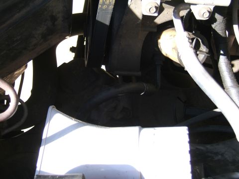 1991 Ford Bronco - my PA