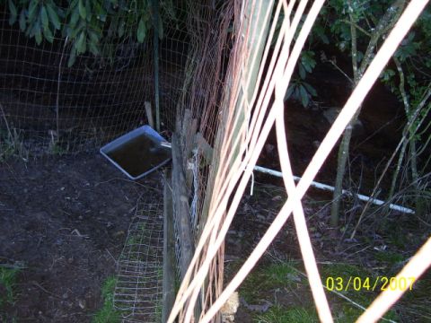 1979 Ford Bronco - A water trough sits on the ground next to a fence in an outdoor setting. The image is dated 03/04/2007.