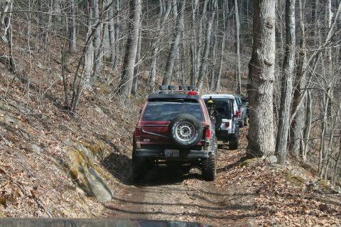 1979 Ford Bronco - Multiple SUVs navigate a narrow dirt path through a dense forest during an off-road excursion.