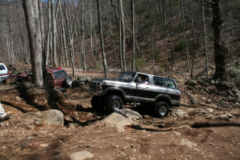 1979 Ford Bronco photo
