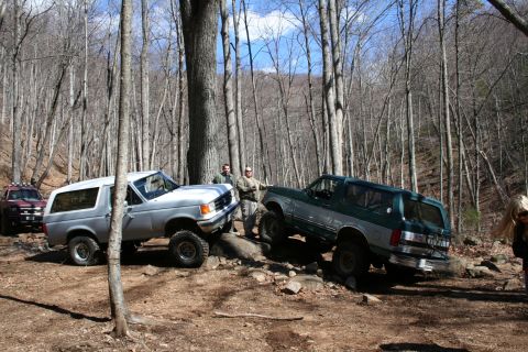 1979 Ford Bronco photo