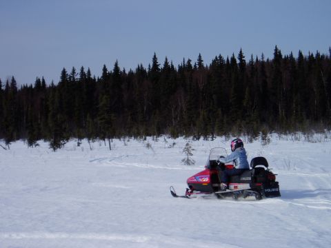 2000 Ford E350 - A person rides a red snowmobile through a snow-covered field, with a dense forest in the background.