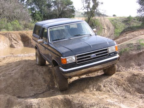 1989 Ford Bronco - My baby "Lady"