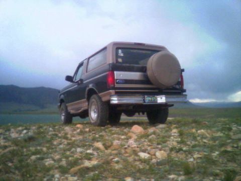 1996 Ford Bronco - Rear view of a 1996 Ford Bronco with a spare tire mounted on the tailgate, parked outdoors.
