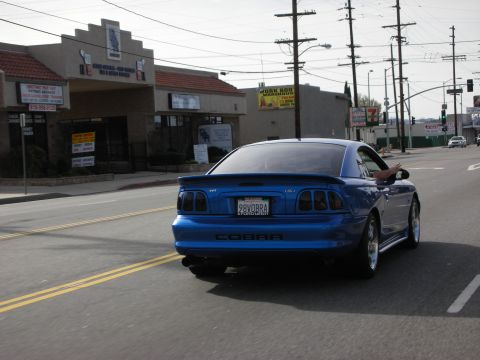 1998 Ford Crown Victoria - blue Ford Mustang SVT Cobra coupe drives down a city street, its 'COBRA' rear badge and California plate visible.