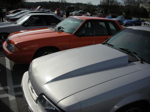 1998 Ford Crown Victoria - silver hatchback and orange notchback Fox-body Mustang parked nose-to-nose at an outdoor car show.