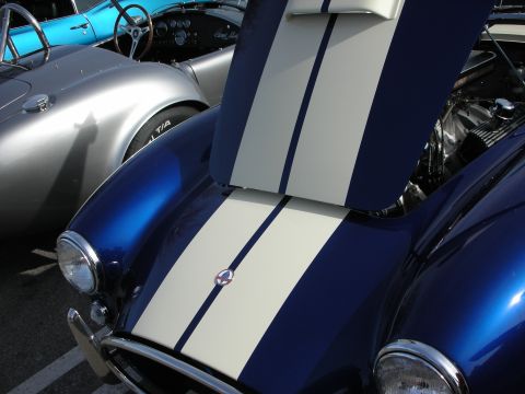 1998 Ford Crown Victoria - Close-up of a dark blue Cobra-style roadster with a white racing stripe and chrome headlight, next to a silver Cobra.