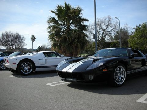 1998 Ford Crown Victoria - black Ford GT with silver stripes and a white Ford GT parked side by side near a palm tree.