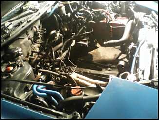 1995 Ford Probe photo