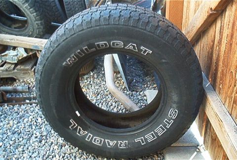 1986 Ford Bronco - A single tire with "WILDCAT STEEL RADIAL" lettering is visible, leaning against a wooden structure.
