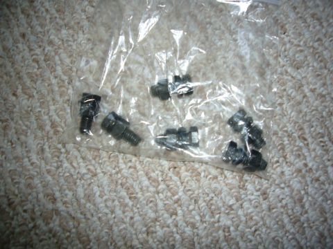 2000 Ford Crown Victoria - A clear plastic bag contains several metal bolts, each with a hex head and threaded shaft.