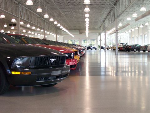 1996 Ford Bronco - Several Ford Mustangs are lined up in a dealership showroom, with the front of a black model prominent.