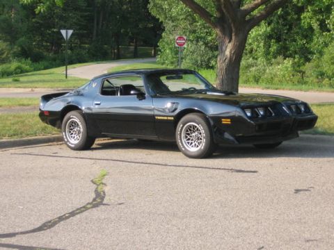 1988 Mercury Grand Marquis - This black Pontiac Firebird Trans Am is parked on the side of a road next to a tree.
