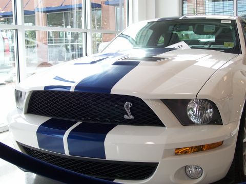 1996 Ford Bronco - Front view of a white Ford Mustang with blue racing stripes and a cobra emblem on the grille.