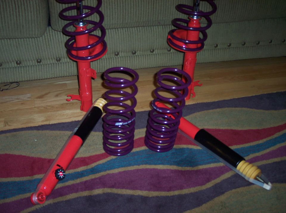 Four red and purple suspension struts and springs on a striped rug