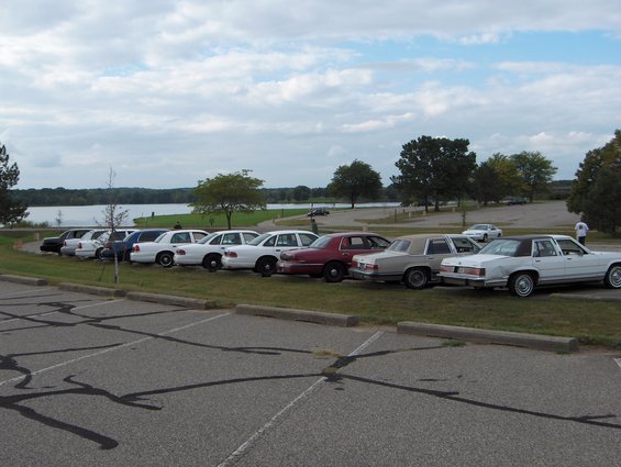 Line of sedans, mostly white, parked on grass by a lake under a cloudy sky