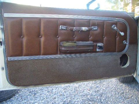 1976 Ford Ranchero - Driver's door before....