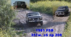 1981 Ford Bronco - 2