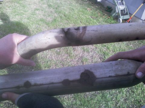 1995 Ford Probe photo