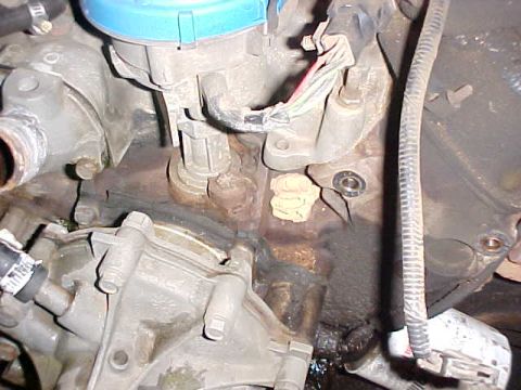 1992 Ford Bronco - How embarrassing to have your dobber exposed!