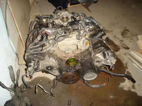1992 Ford Crown Victoria - Engine removed from a vehicle, showing various hoses and electrical connections.