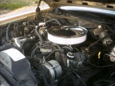 1985 Ford Crown Victoria LTD - The engine bay of a vehicle, a chrome air cleaner and various engine components.