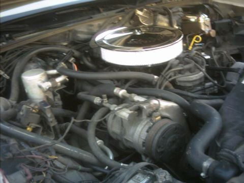 1985 Ford Crown Victoria LTD - Close-up view of an engine bay, showing the air cleaner and AC compressor.