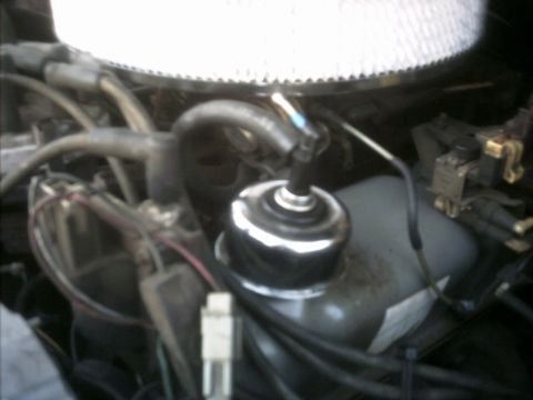 1985 Ford Crown Victoria LTD - The engine bay of a vehicle, focusing on the coolant reservoir and surrounding components.