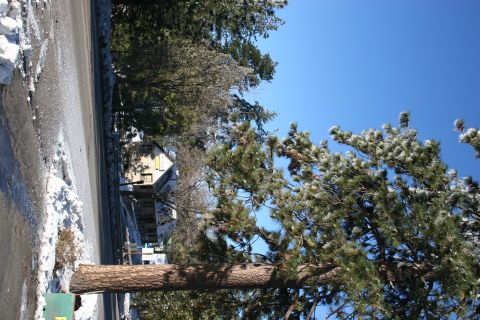 1996 Ford Bronco - A yellow house with a porch is visible through pine trees, with snow on the side of the road.