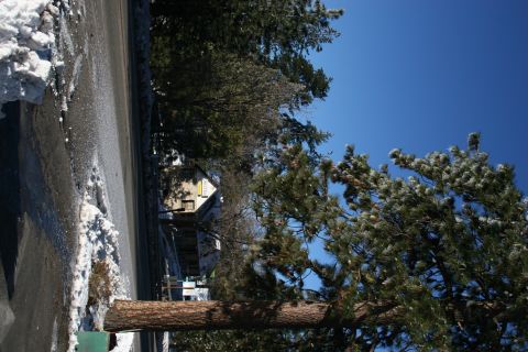 1996 Ford Bronco - Winter scene with snow on the side of the road and pine trees.