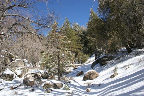 1996 Ford Bronco - A winter scene unfolds with snow-covered rocks and trees under a clear blue sky, suggesting a remote, natural environment.