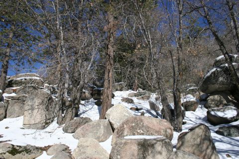 1996 Ford Bronco - Winter scene in a forest with snow-covered rocks and trees.