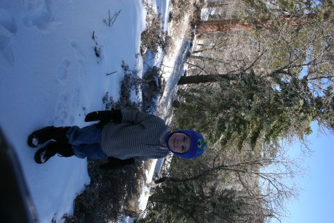 1996 Ford Bronco - A child enjoys a snowy day outdoors, surrounded by trees under a bright blue sky.