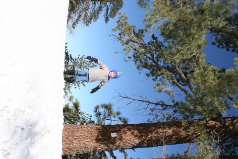 1996 Ford Bronco - A child is suspended in the air, surrounded by trees and a clear blue sky, with snow visible on the left.