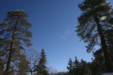 1996 Ford Bronco - A distant airplane leaves a contrail across a clear blue sky, surrounded by snow-dusted pine trees.