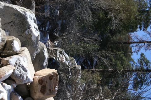 1996 Ford Bronco - A natural scene of rocks and trees under a clear blue sky.