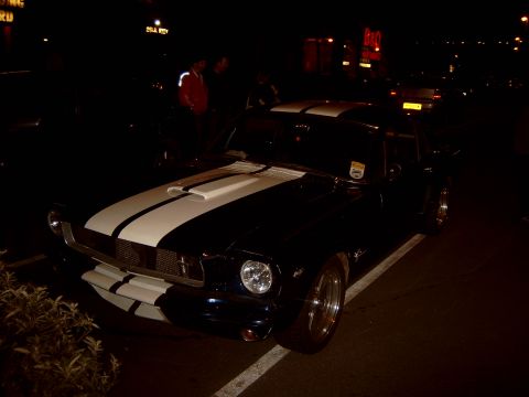 1989 Ford Bronco - mustang