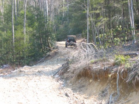 1992 Ford Mustang - A Jeep Wrangler navigates a steep, rocky dirt road surrounded by dense trees.