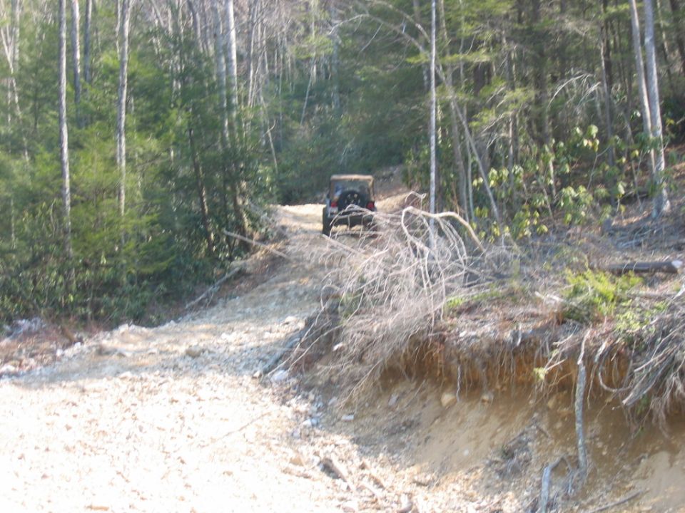 Jeep Wrangler driving up a dirt road in a forest